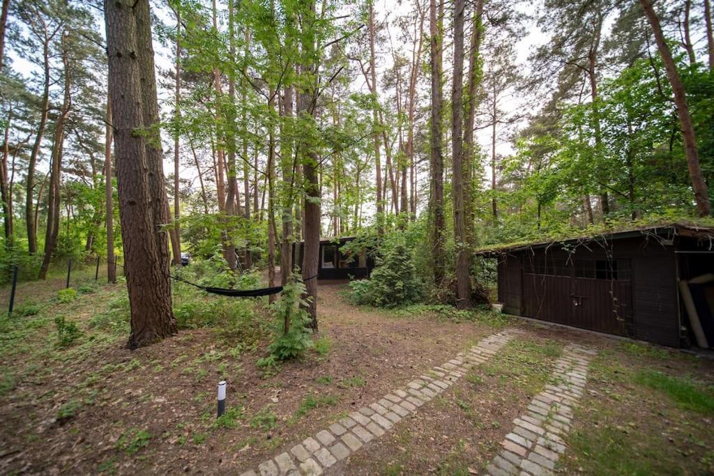 Zacisze Narwi Villa Kikoly Buitenkant foto