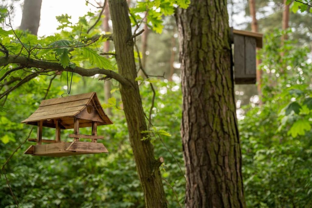 Zacisze Narwi Villa Kikoly Buitenkant foto